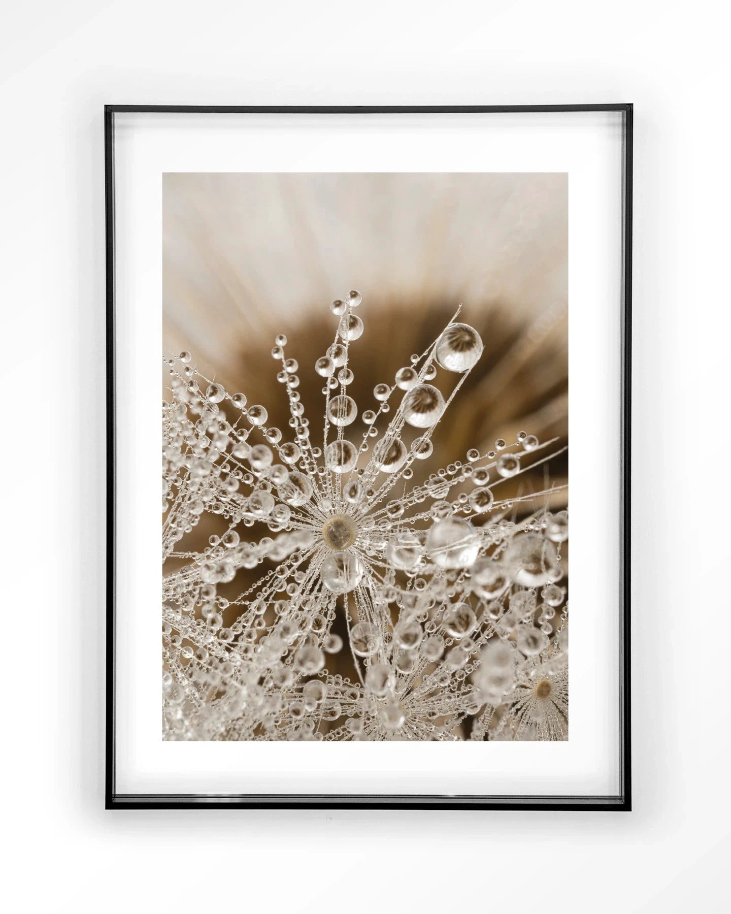 Landelijke natuur kunstprint van Urban Cotton met acryl frame in zwart, geschikt als moderne wanddecoratie in huis.