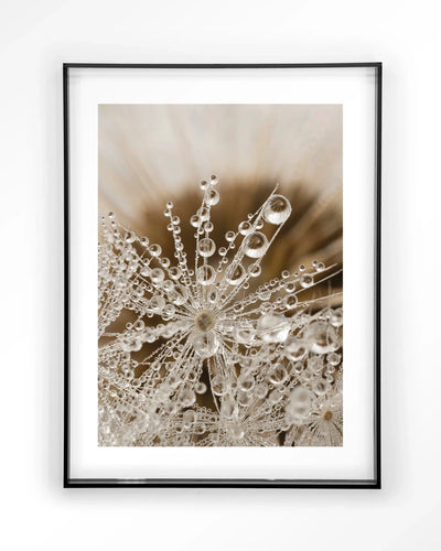 Landelijke natuur kunstprint van Urban Cotton met acryl frame in zwart, geschikt als moderne wanddecoratie in huis.