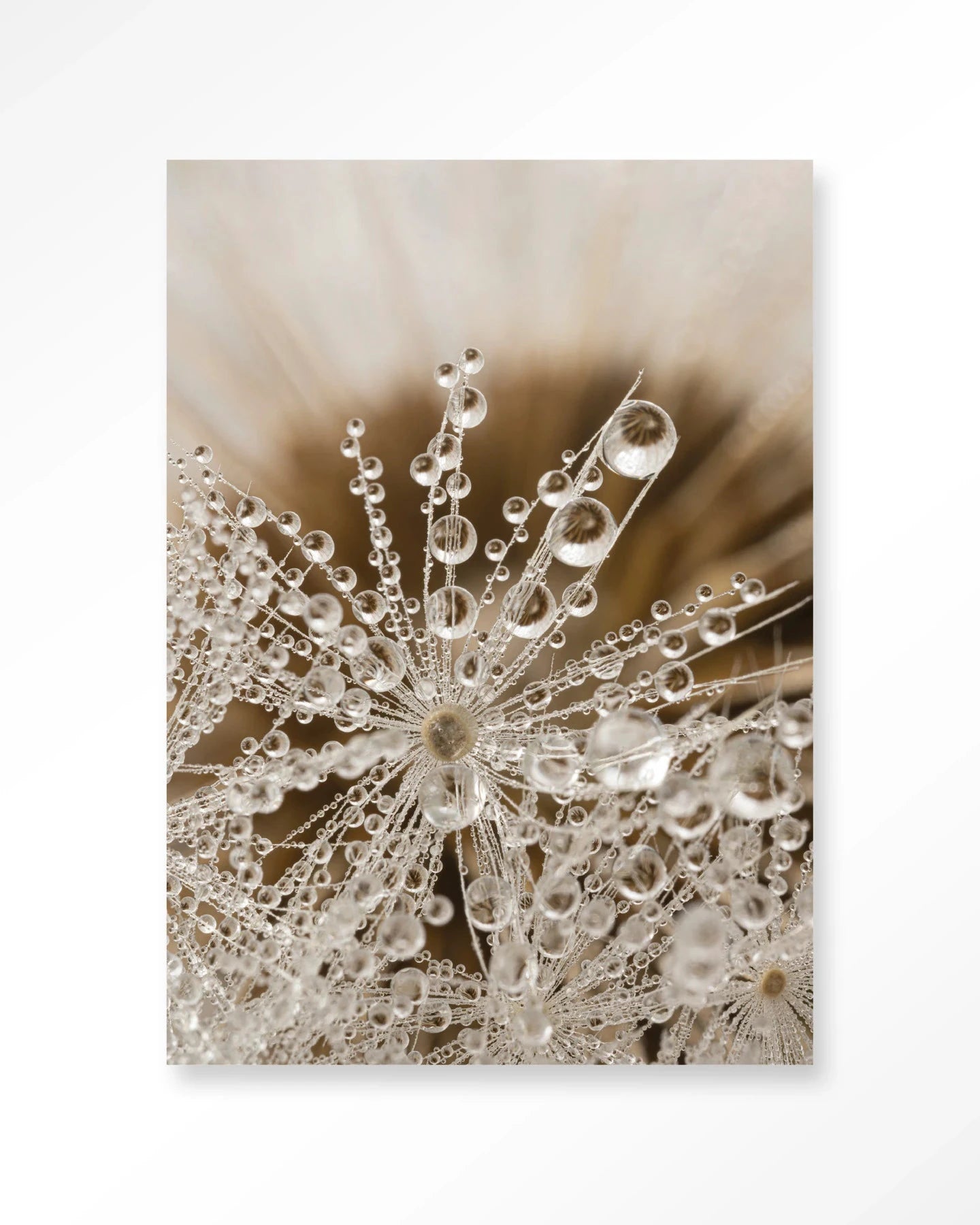 Landelijke natuur kunstprint en glazen wanddecoratie van Urban Cotton, geschikt als modern wandkleed of kunstobject.