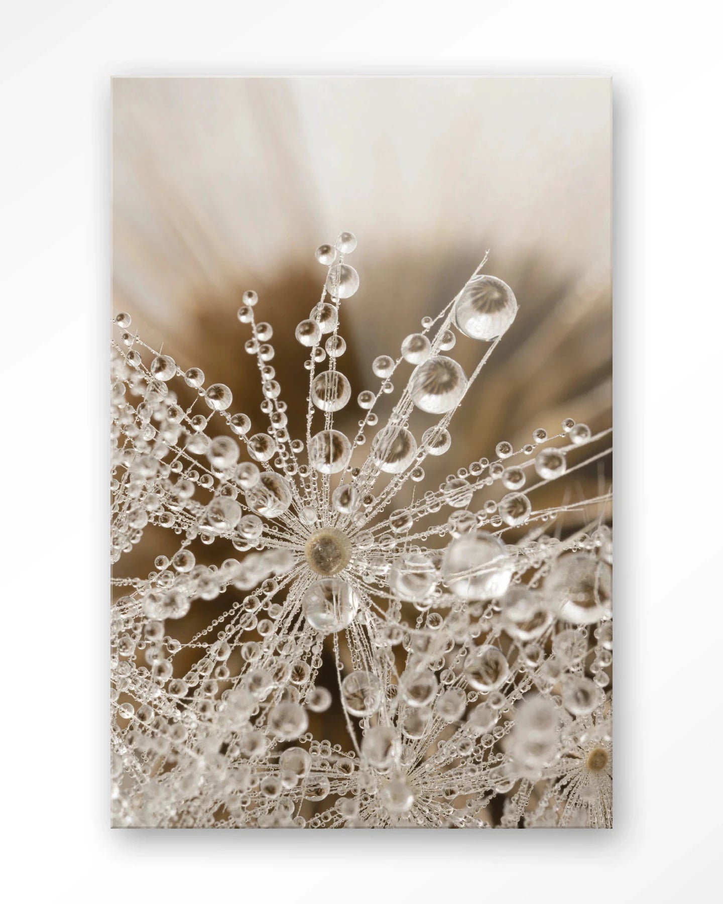 Landelijke natuur kunstwerk van Urban Cotton, glas art en wandkleed met natuurlijke landschappen en landelijke details.