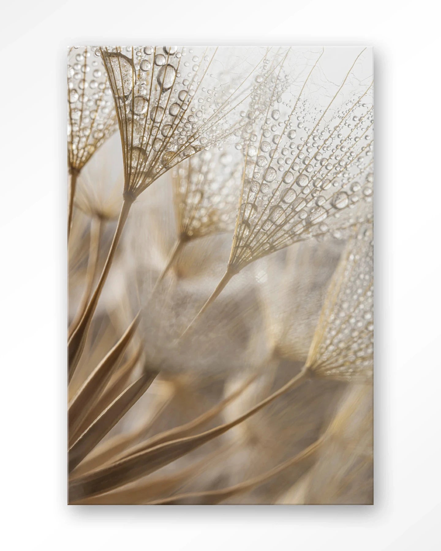 Moderne wanddecoratie van Urban Cotton met een abstract glasartwork en wandkleed, natuurlijke kleuren en unieke kunststijl.