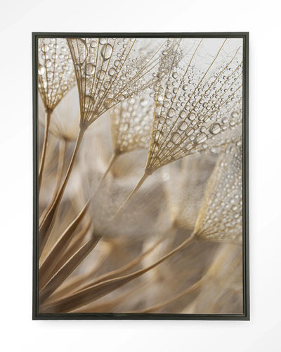 Moderne wanddecoratie van Urban Cotton met natuurlijke abstractie, zwart wandkleed in floating frame, geschikt als kunstprint of glas art.
