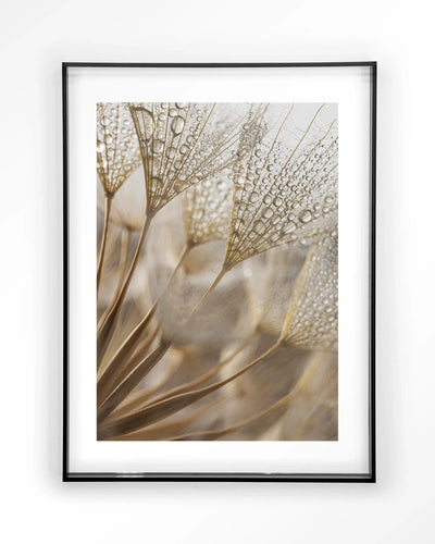 Natuurlijke abstractie kunstprint met moderne uitstraling, ingelijst in zwart acryl, door Urban Cotton, wanddecoratie voor binnen.