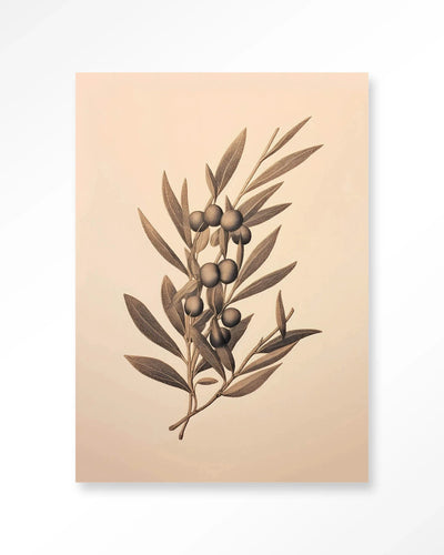 Moderne Oliva kunstprint van Urban Cotton, glas art en wandkleed voor stijlvolle muurdecoratie in huis