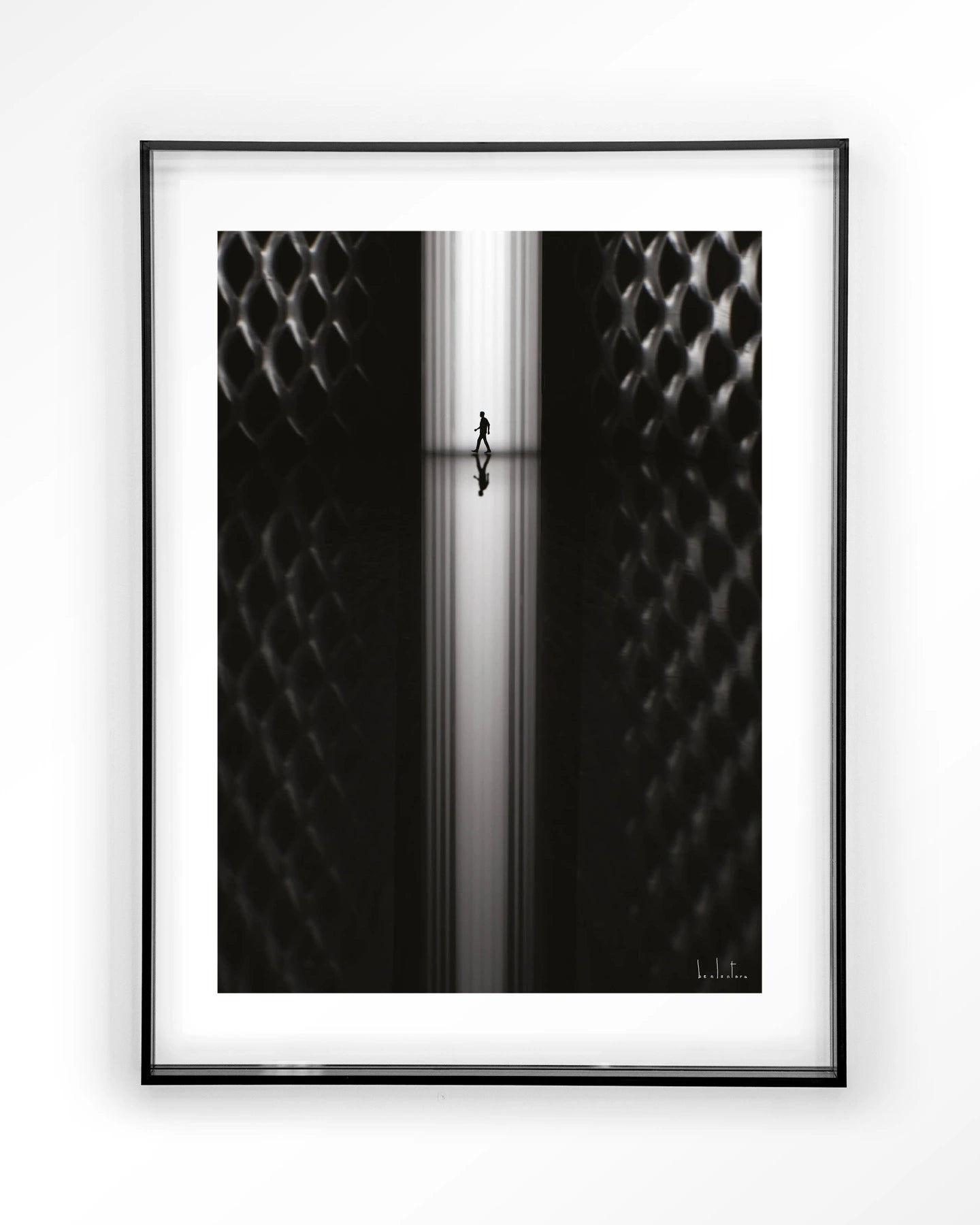 Passing - depauwwonen