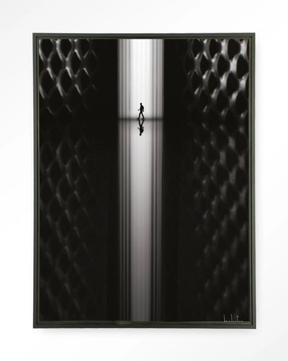 Passing - depauwwonen