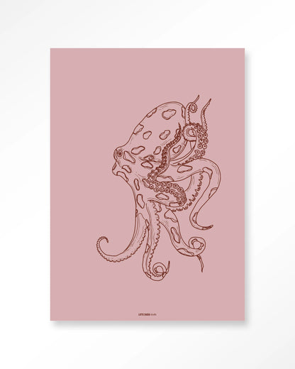 Polypus - depauwwonen