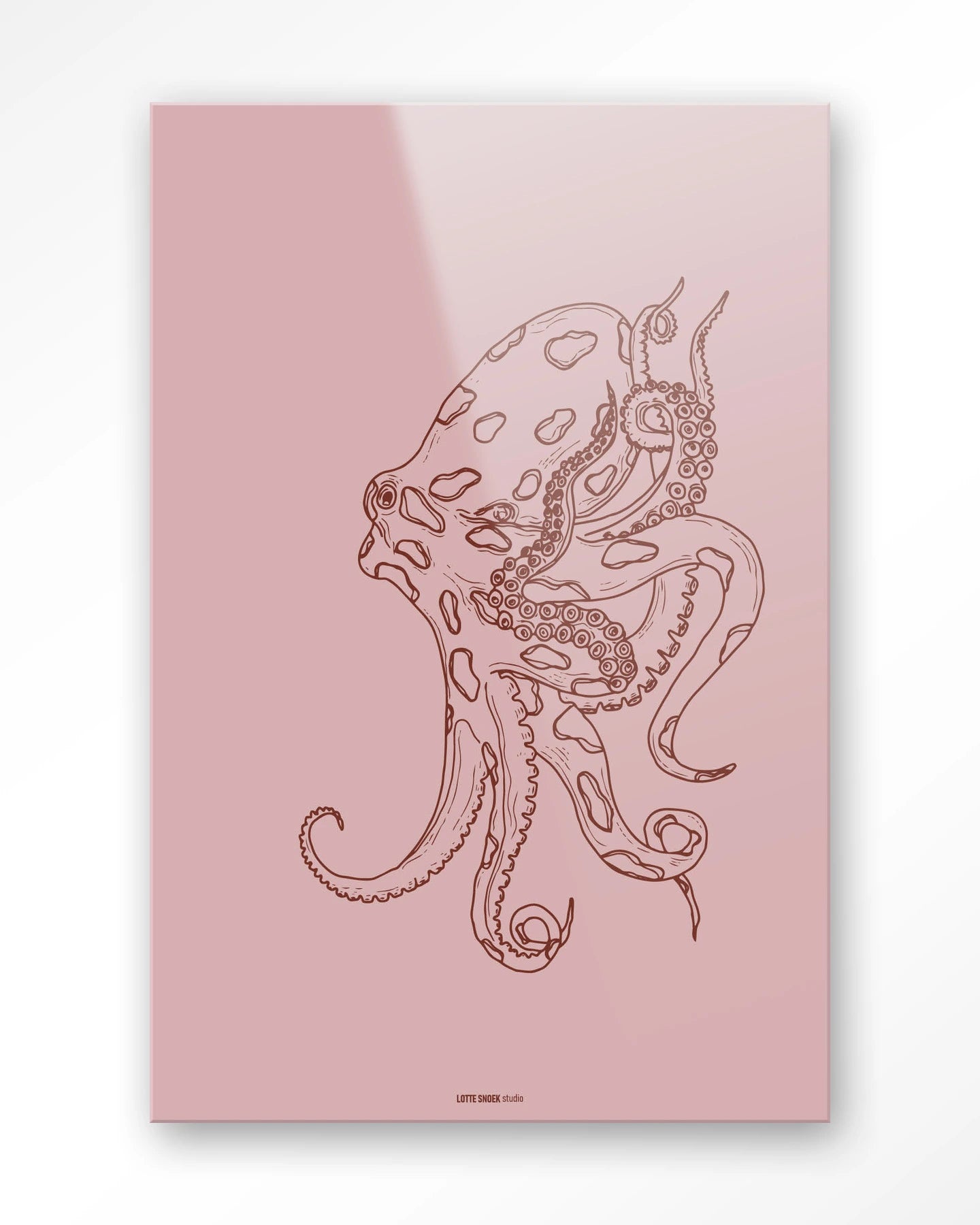 Polypus - depauwwonen