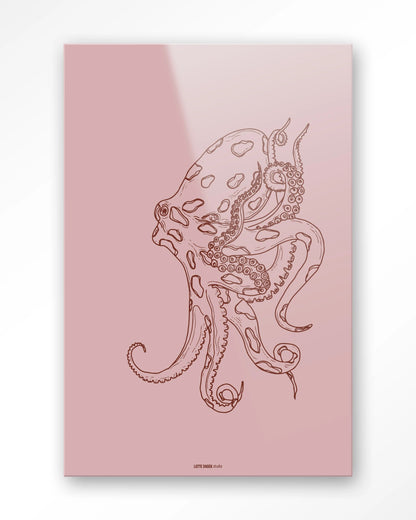 Polypus - depauwwonen