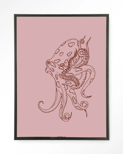 Polypus - depauwwonen