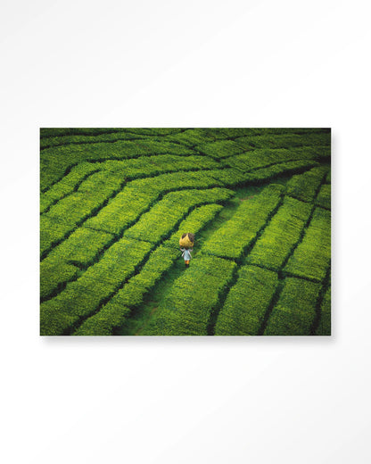 Tote pengalengan - depauwwonen