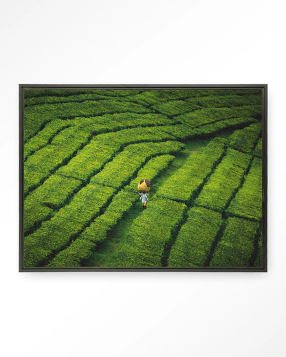 Tote pengalengan - depauwwonen