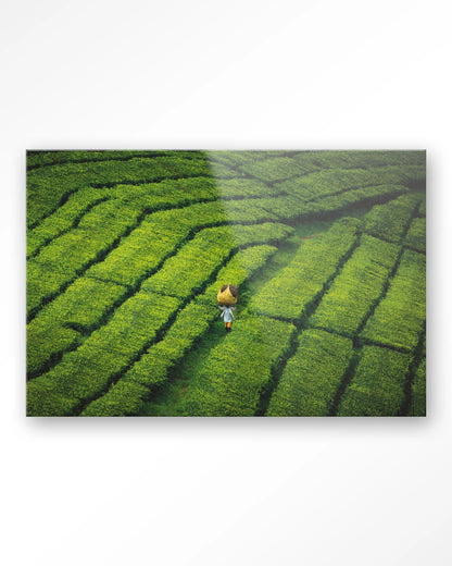 Tote pengalengan - depauwwonen