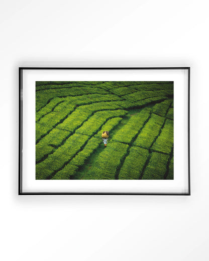 Tote pengalengan - depauwwonen