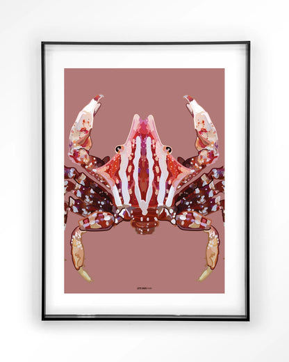 Villo Donus - depauwwonen