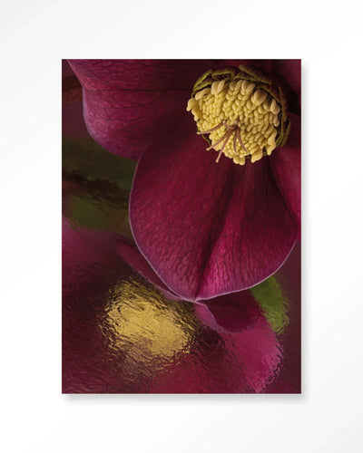 Moderne wanddecoratie van Urban Cotton met kunstprint van weerspiegeling van een kerstroos, glasart en wandkleed op canvas.