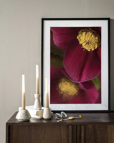 Moderne kunstafbeelding van een weerspiegeling van een kerstroos in een zwart houten frame, geschikt als wanddecoratie van Urban Cotton.