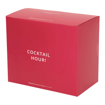 Martini cocktailglas, set van 2, in cadeauverpakking - depauwwonen