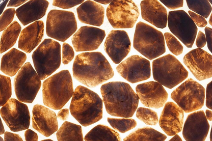 Tafellamp Turtle Ball Goud - in twee maten - depauwwonen