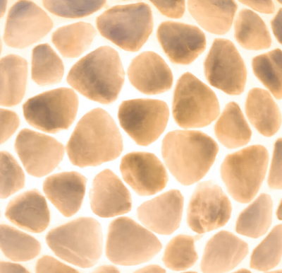 Tafellamp Turtle Ball Wit - in twee maten by VillaFlor