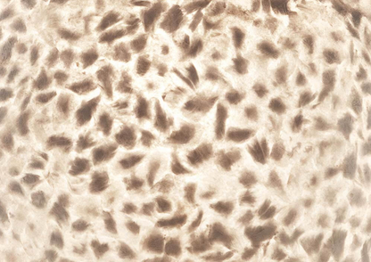 Lampenkap Wangi White in 3 maten - depauwwonen