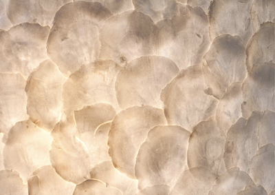 Wandlamp Full Shell Rechthoek set 2 by VillaFlor