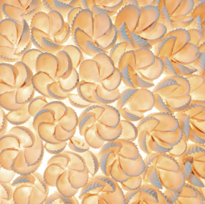 Tafellamp Bloem by VillaFlor