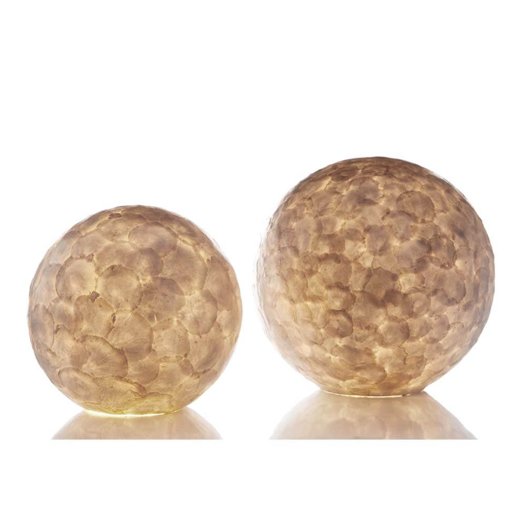 Tafellamp Full Shell Ball in twee maten - depauwwonen