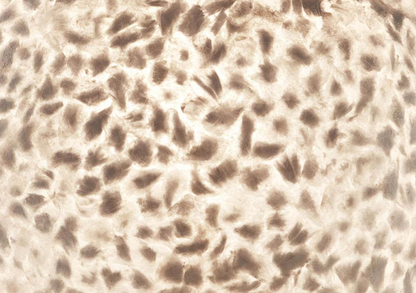 Vloerlamp Wangi White Apollo in vier maten - depauwwonen