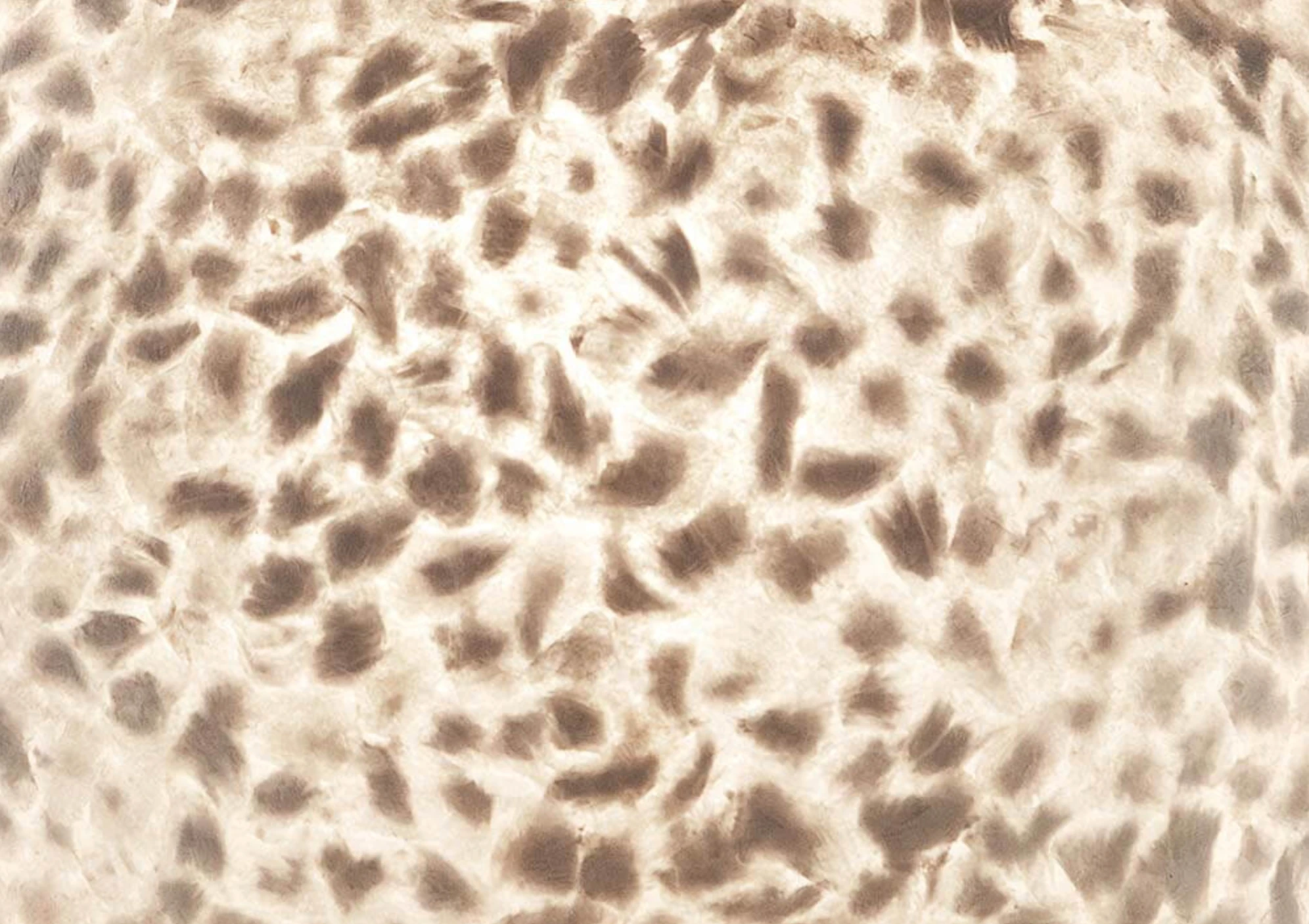 Vloerlamp Wangi White Cilinder in twee maten by VillaFlor