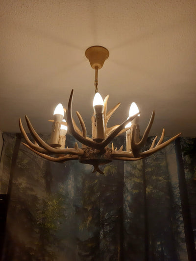 Kroonluchter Ree Gewei | 6 lichts by Wild'nChic