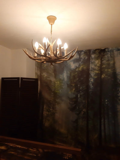 Kroonluchter Ree Gewei | 6 lichts by Wild'nChic